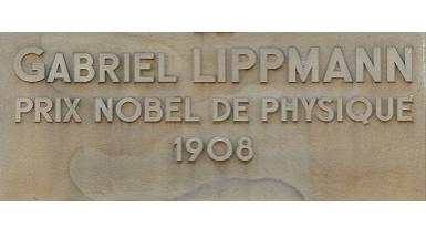Lippman