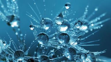 OpenDayLMBicocca_areascientifica OpenDayLMBicocca_areascientifica