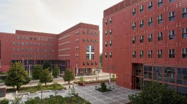 università relazione e curiosità