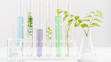 OpenDayBicocca_areascientifica