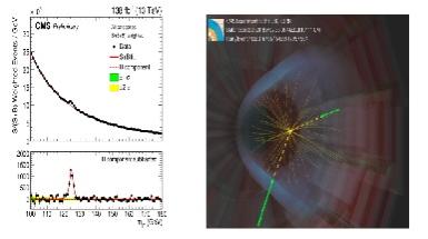 Seminario Photons to shed light on Higgs, 5 maggio