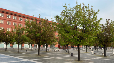 Università degli Studi di Milano-Bicocca Università degli Studi di Milano-Bicocca