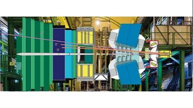 LHCb International Physics Masterclasses