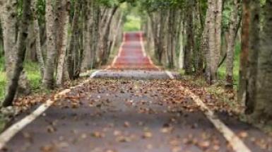 Concorso di arti visive e grafiche