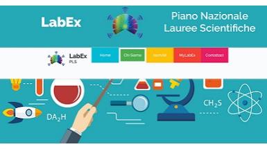 Il progetto LabEx del Dipartimento di Fisica dell'Università degli Studi di Milano-Bicocca Il progetto LabEx del Dipartimento di Fisica dell'Università degli Studi di Milano-Bicocca