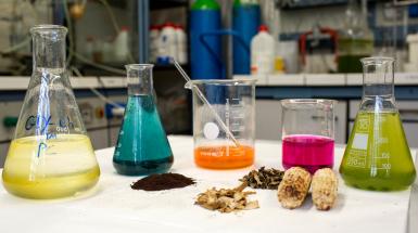 Laboratorio biogas