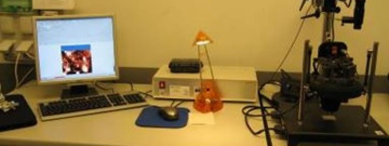 Microscopio a forza atomica