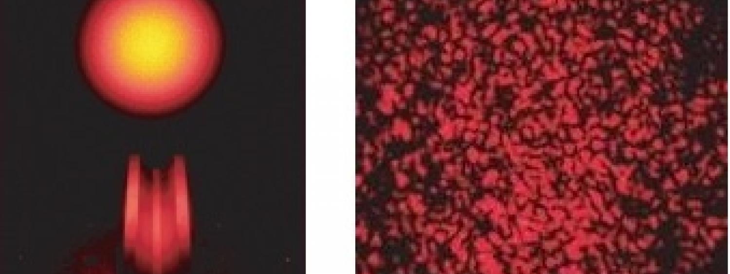 Spot laser di un campione trattato a plasma con deposizione di film