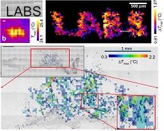 NotableBiophysics NotableBiophysics