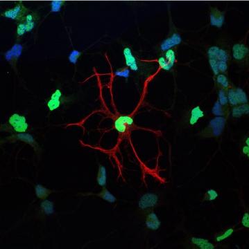 20 anni di Scienza all'Università di Milano-Bicocca