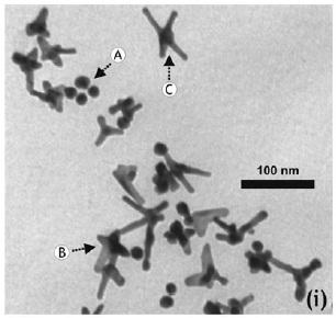 Nanoparticles for Biomedical Applications Nanoparticles for Biomedical Applications